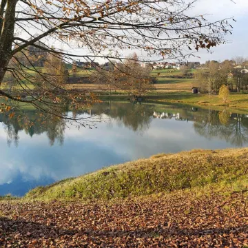 Ferienanlage Bäckerwiese in Neuschönau