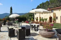 Estate in Monte Serra With Pool & Olive Views