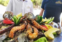 Exceptional Luxury Villa A Masterpiece of Elegance and Comfort Hotels in Rafraf