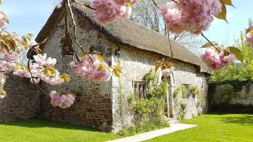 Bickleigh Castle - Homestays
