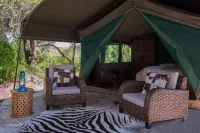 Nkwe Safari Lodge - 3-Star