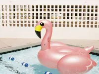 RSVP Hotel - Swimmingpools