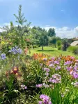 Is Cheas Wine Farm Boutique Hotel Hotels in Paulle