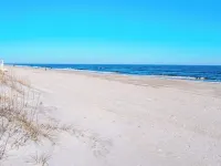 Coral Surf #A1 - Beachy Keen - Beach