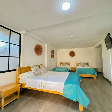 Eco Hotel las Palmas