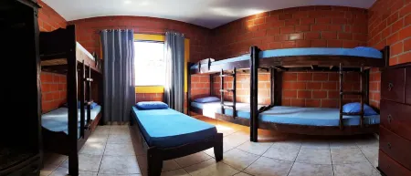 Brotas your best option for leisure time with friends and family