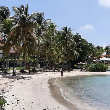 Studio Cosy à 2min de la Plage Отели в г. Пуэнт-а-Питр