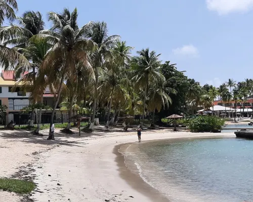 Studio Cosy à 2min de la Plage Hôtels à : Pointe-à-Pitre