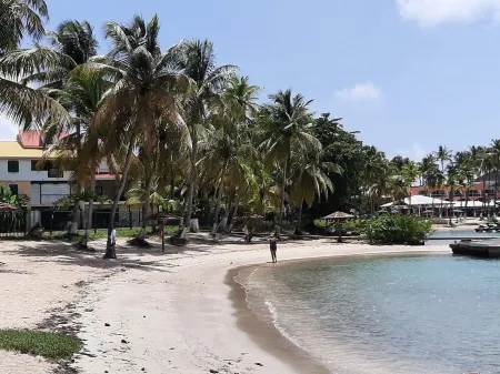 Studio Cosy à 2min de la Plage Отели рядом с достопримечательностью «Centre Remy Nainsouta»