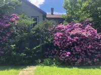 One of a kind spacious house located on the East Branch of Delaware riverfront