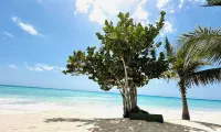Upgraded Caribbean paradise penthouse in Bayahibe, Dominican Republic