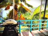 Huge gorgeous penthouse style,1 bedroom, 5 mins from everything, jungleview