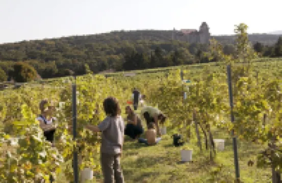 Organic home, garden & swimming pond, quiet location, Vienna reached in 15 min Hotels in 