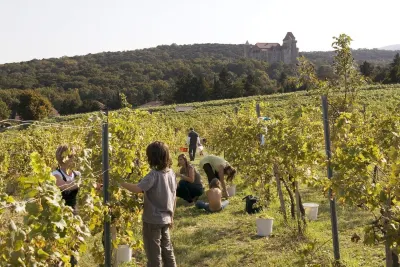 Organic home, garden & swimming pond, quiet location, Vienna reached in 15 min โรงแรมใน