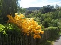 A delightful country house set in the heart of Lakeland