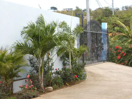 Amazing Caribbean views!