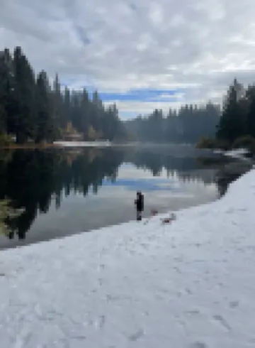 Spacious Large Homestyle Family Cabin  in LMP Arnold