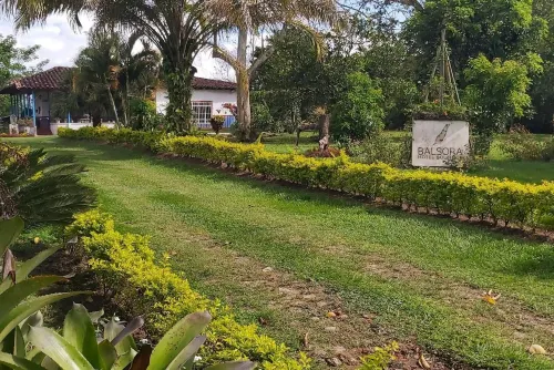 Balsora Hotel Boutique