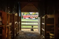 Hershey Farm Resort - Frühstück