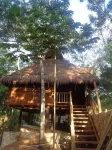 Casa Mango