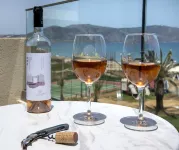 Vantaris Luxury Beach Resort - Bar