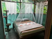 Rio Agujitas Eco Farm Hostel and Tours Hotels in Drake