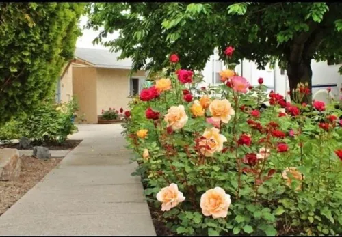 Maple Leaf Motel & RV Resort Hotels in Cawston