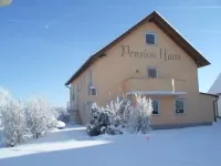 Pension Haas-Hotel am Turm Hotels near Aldingen(b Spaichingen)