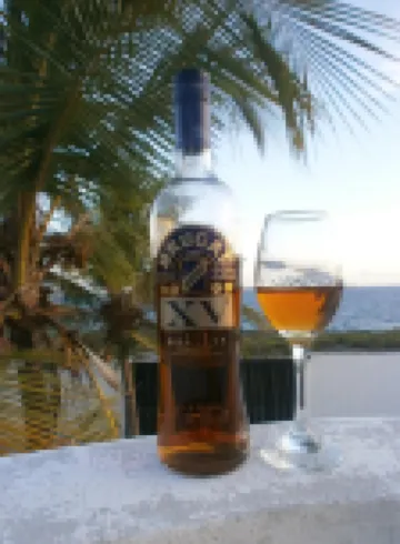 Guesthouse Villa la Isla