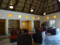 Hotel Palapa Palace Inn - Pet friendly