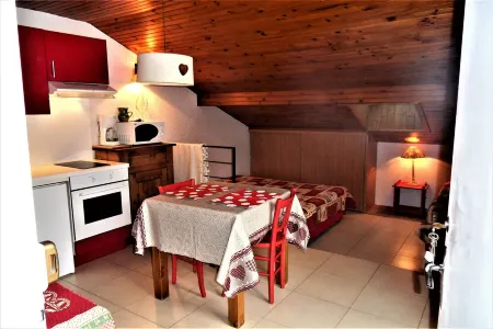 Comfortable studio for 3 people on the edge of the ski slopes at La Clusaz