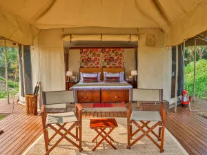 Sawai Shivir Ranthambore by Tutc