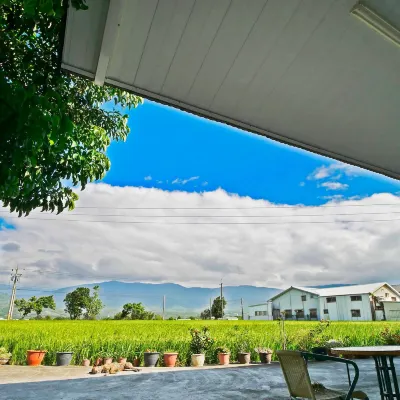 Birmington Bed and Breakfasts Hotels near Mr. Brown Avenue