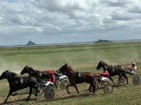 Les flots bleus: Charming little house by the sea (1.6km away