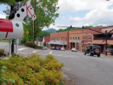 Bright New Cozy Cottage -  1/2 mi from downtown. Hotels in Tryon