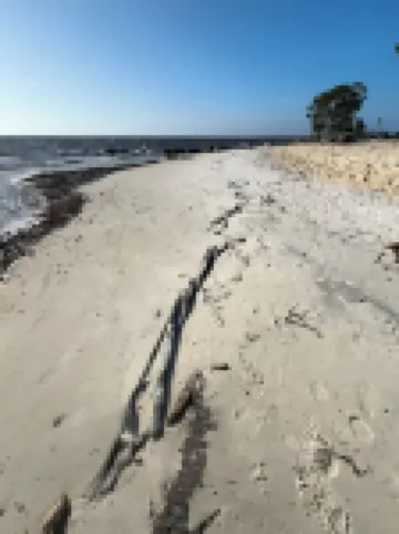 Sunsets & Serenity: Tranquil Waterfront Escape on the Ochlockonee in Panacea