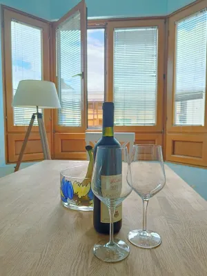 Huge charming family apartment in downtown Podgorica  호텔