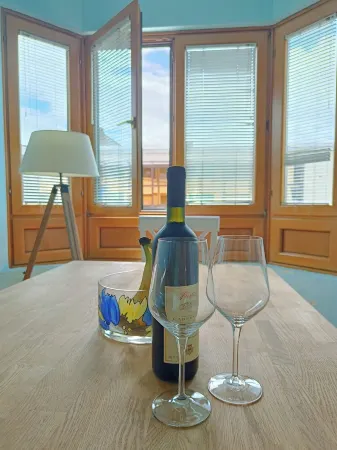 Huge charming family apartment in downtown Podgorica