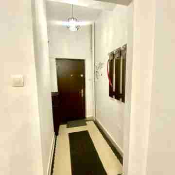 Hope apartment in the city center Others