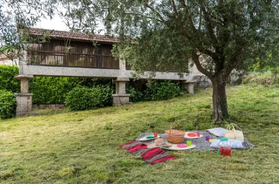 Casa da TorreCountry House with Private Pool in Northern Portugal