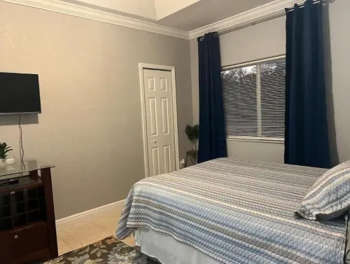 Cozy Green Apartment