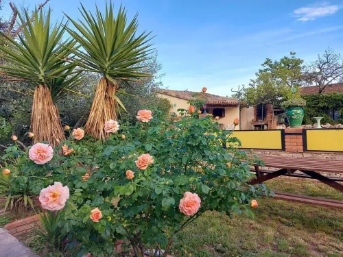 Olive trees فنادق في Tornac