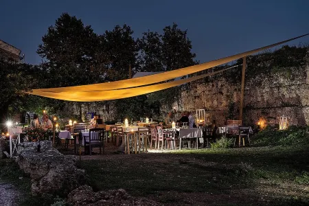 Cozy villa with pool nestled among the ancient olive trees of Cilento