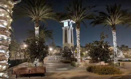 The Green Studio - BRAND NEW !