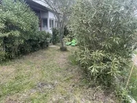 Comfortable bungalow near the sea Hotels in Linguizzetta