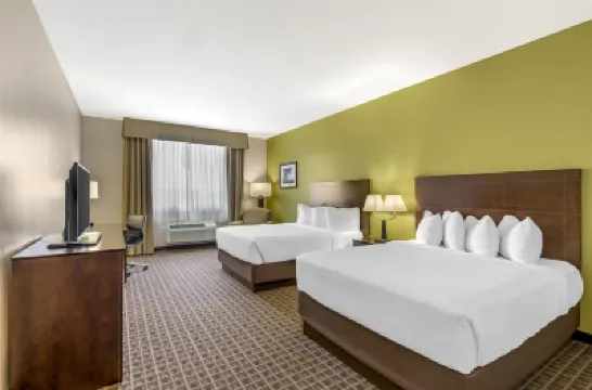 Best Western Plus Havre Inn  Suites Hotels in Havre