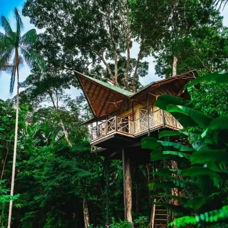 Buru Nature Hotel