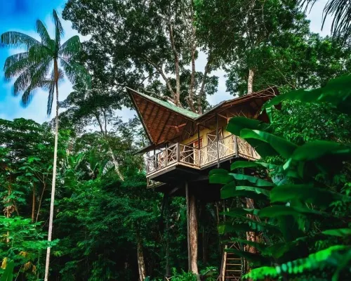 Buru Nature Hotel Hotels in Leticia