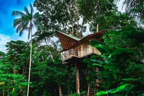 Buru Nature Hotel