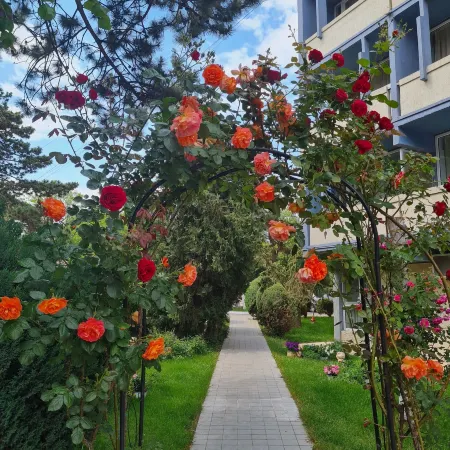 Hotel Sunquest Отели рядом с достопримечательностью «Спа-комплекс Mangalia»